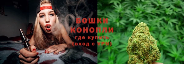 гидропоника Белокуриха