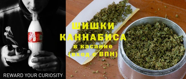 крисы Балахна