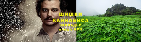 гидропоника Белокуриха